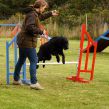 Kennel Hegnets - Opdræt af Flat Coated Retrievere