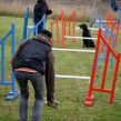 Kennel Hegnets - Opdræt af Flat Coated Retrievere