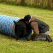 Kennel Hegnets - Opdræt af Flat Coated Retrievere