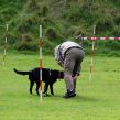 Hvalpetræf hos Kennel Hegnets, Kolding