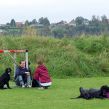 Hvalpetræf hos Kennel Hegnets, Kolding