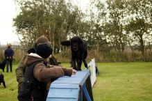 Kennel Hegnets - Opdræt af Flat Coated Retrievere