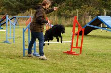 Kennel Hegnets - Opdræt af Flat Coated Retrievere