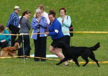 Kennel Hegnets - Opdræt af Flatcoated Retriever