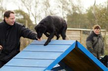 Kennel Hegnets - Opdræt af Flat Coated Retrievere