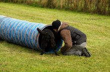 Kennel Hegnets - Opdræt af Flat Coated Retrievere