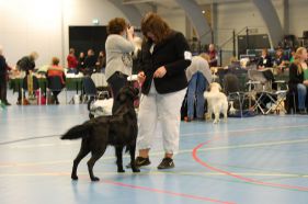 Hegnets Art By Fleury-Laurent